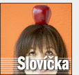 Falešní přátele ve slovníku ukrytí