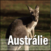 Rozhovor: Proč studovat v Austrálii...